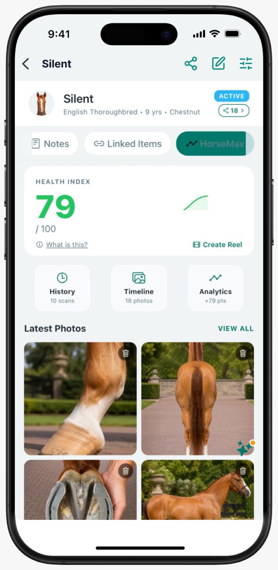 HorseMax health index
